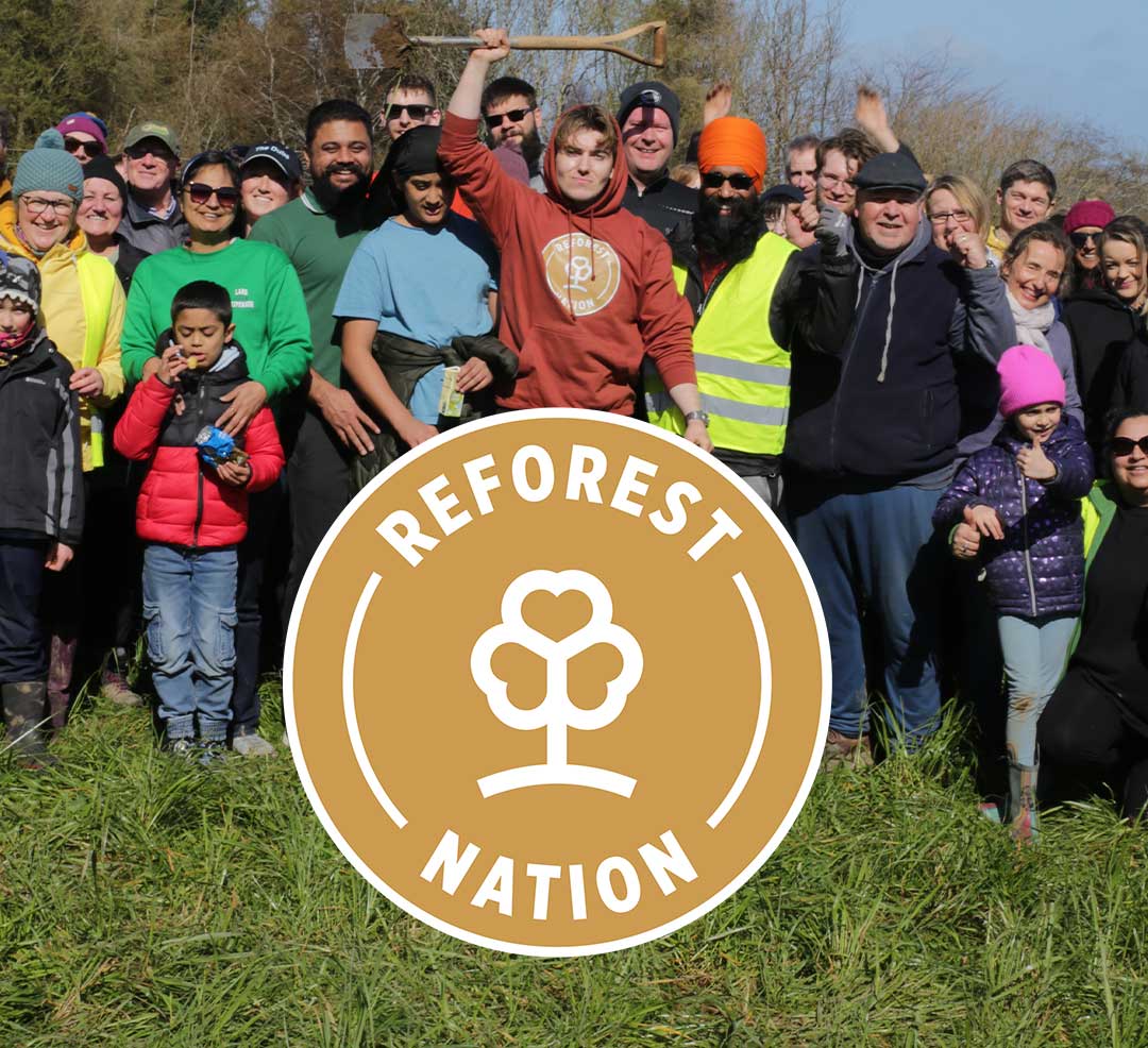 reforestnation-hero Stakelums Reforest Nation commitment to plant a real tree fro every artificial tree sold