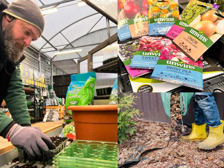 Winter Gardening Tips for a Healthy Garden